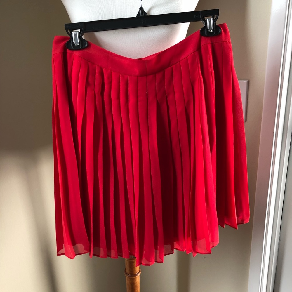 Pleated Accordian Skirt